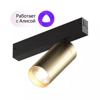 Dk8020-bg акцентный светильник smart spot 20w dim 3000k-6000k, матовое золото с черным (denkirs) золотой