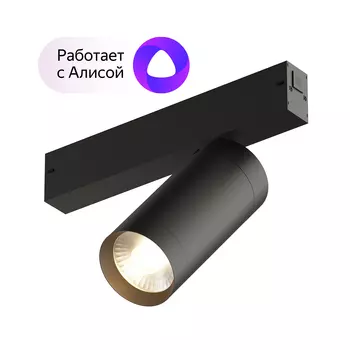 Dk8020-bk акцентный светильник smart spot 20w dim 3000k-6000k черный (denkirs) черный