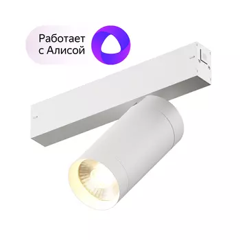 Dk8020-wh акцентный светильник smart spot 20w dim 3000k-6000k белый (denkirs) белый