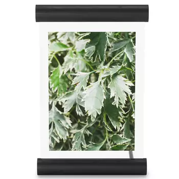 Фоторамка scroll 14*18 (umbra) черный 16x24x4 см.