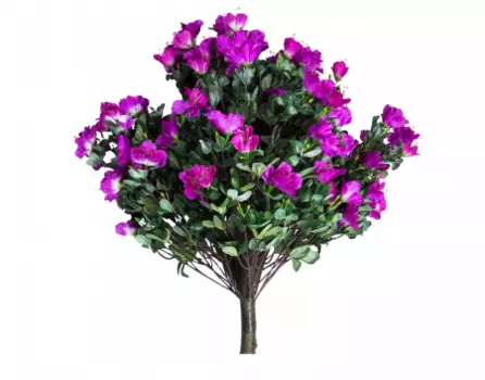 Гардения штамбовая (desondo) фиолетовый 125 см.