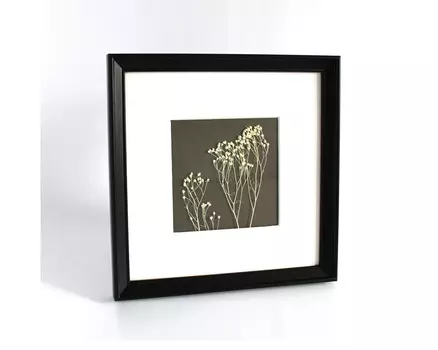 Картина белый брум (wowbotanica) белый 23x23 см.