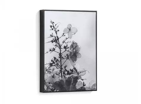 Картина calantha (la forma) черный 30x40 см.