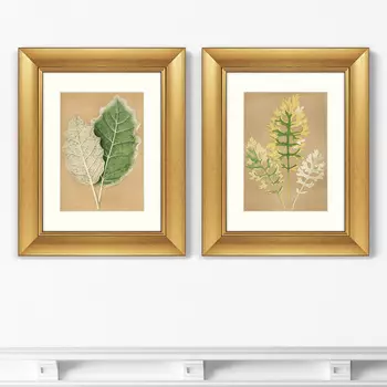 Набор из 2-х репродукций картин в раме cineraria maritima , 1879г. (картины в квартиру) бежевый 40x50 см.