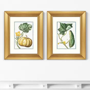 Набор из 2-х репродукций картин в раме cucumber &amp; melopepo, 1793г. (картины в квартиру) мультиколор 40x50 см.