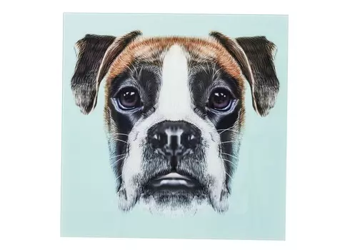 Картина dog face (kare) мультиколор 60x60x1 см.