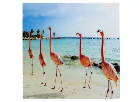 Картина flamingo (kare) мультиколор 80x80 см.
