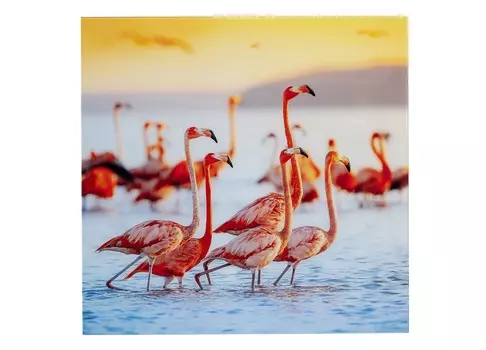 Картина flamingo (kare) мультиколор 80x80 см.