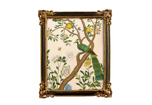 Картина «индокитайский зеленый павлин», версия 2, в раме «селин» (object desire) мультиколор 24x29x2 см.