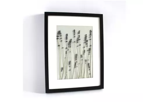 Картина лаванда (wowbotanica) белый 30x40 см.