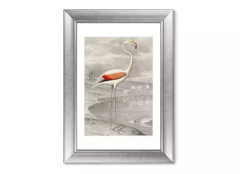 Репродукция картины в раме le flammant, 1869г. (картины в квартиру) мультиколор 50x70 см.