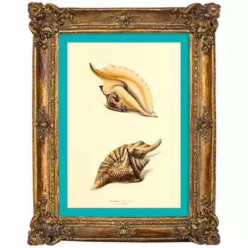 Картина «море волнуется - 101» в раме «анастаси» (object desire) коричневый 17x22x2 см.