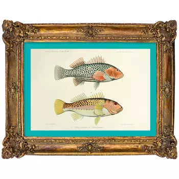 Картина «море волнуется - 62» в раме «анастаси» (object desire) мультиколор 17x22x2 см.