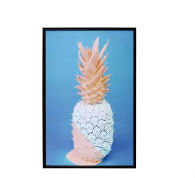 Картина pineapple 19х29см (ogogo) мультиколор