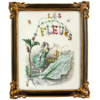 Картина «прекрасный колокольчик» в раме «селин» (object desire) мультиколор 25x40 см.