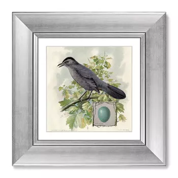 Картина птицы, винтажная почтовая открытка №4, 1918г. (картины в квартиру) серый 35x35 см.