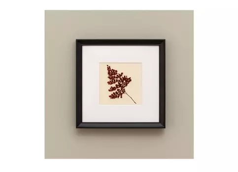 Картина с бордовым папоротником (wowbotanica) черный 12x17 см.