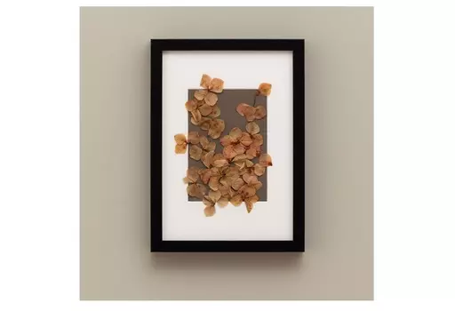 Картина с гортензией (wowbotanica) черный 23x32 см.