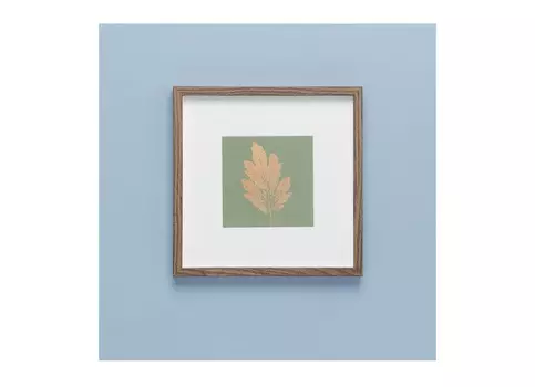 Картина с оттиском листа хризантемы (wowbotanica) коричневый 25x25 см.