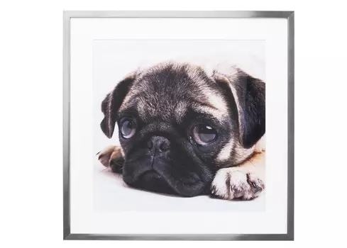 Картина в рамке mops (kare) мультиколор 65x65x3 см.