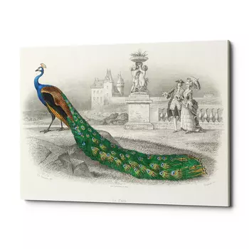 Картина «величественно окрашенный портрет павлина» (object desire) зеленый 75x50x2 см.