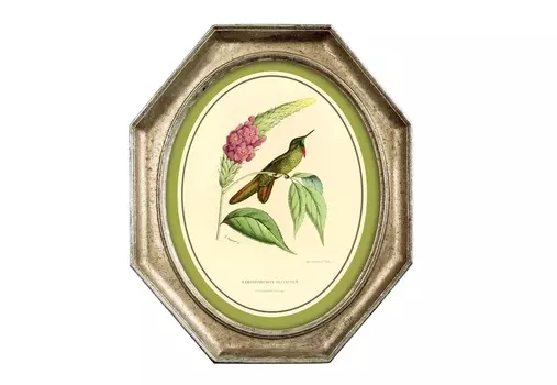 Картина «жемчужины природы», версия 18, в раме «эдита» (object desire) мультиколор 24x29x3 см.