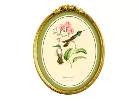 Картина «жемчужины природы», версия 28, в раме «бетти» (object desire) мультиколор 21x26x3 см.