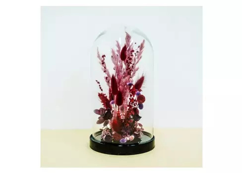 Клош с красной краспедией (wowbotanica) прозрачный 31 см.