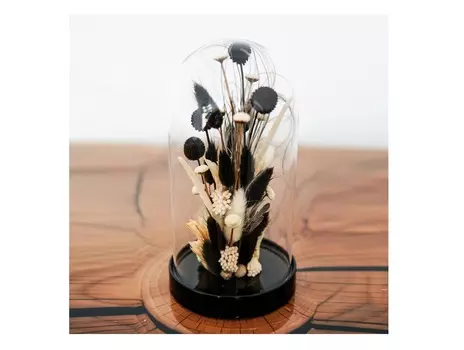 Клош в черно-белой гамме (wowbotanica) прозрачный 19 см.