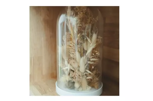 Клош в пшеничной цветовой гамме (wowbotanica) прозрачный 31 см.