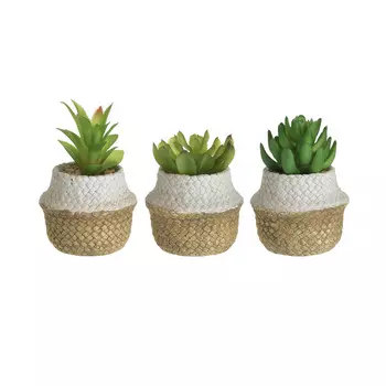 Комплект искусственных цветов в кашпо kapan (3 шт) (to4rooms) зеленый 14 см.