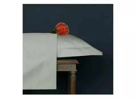 Комплект постельного белья (2-спальный) pure platine (elhomme) бежевый 43x10x32 см.