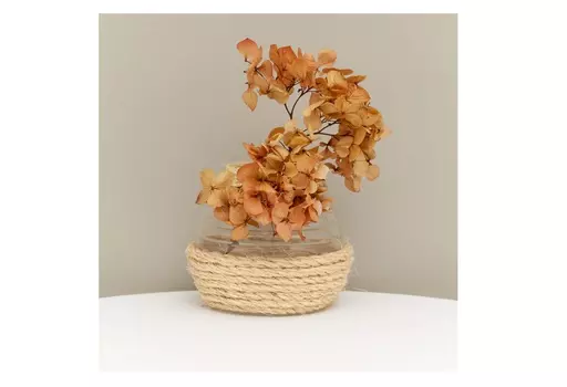 Композиция с гортензией (wowbotanica) бежевый 14 см.