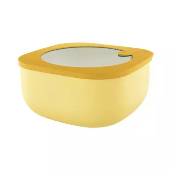 Контейнер для хранения store&amp;more (guzzini) желтый 19x9x19 см.