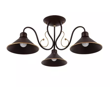 Люстра потолочная ciolla (evoluce) черный