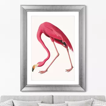 Репродукция картины в раме американский фламинго (литография), 1822г. (картины в квартиру) мультиколор 60x80 см.