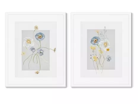 Набор из 2-х репродукций картин в раме floral set in pale shades, no8 (картины в квартиру) мультиколор 42x52 см.