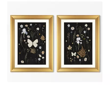 Набор из 2-х репродукций картин в раме flower herbarium, no2 (картины в квартиру) черный 60x80 см.