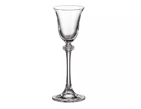 Набор рюмок для водки asio/alexandra (crystalite bohemia) прозрачный