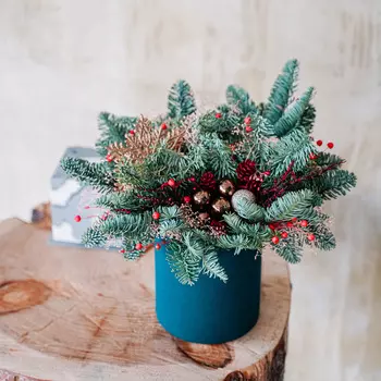 Новогодняя композиция (wowbotanica) зеленый 15x25x20 см.