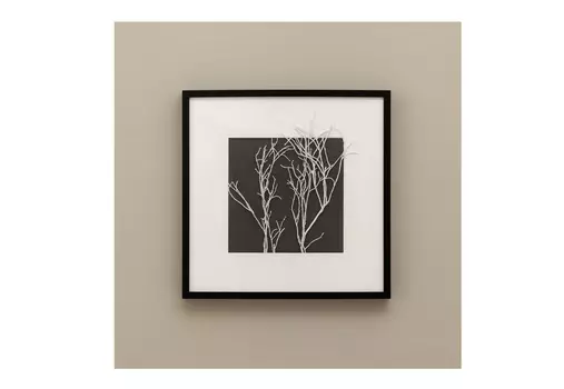 Панно, белый вациниум (wowbotanica) черный 52x52 см.