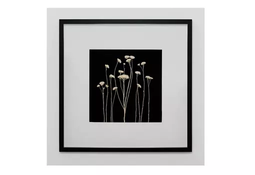 Панно с ахиллеей (wowbotanica) черный 52x52 см.