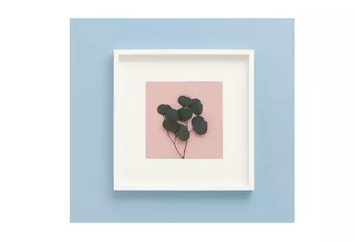 Панно с эвкалиптом в бело-розовой гамме (wowbotanica) зеленый 52x52 см.