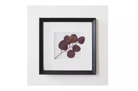 Панно с эвкалиптом (wowbotanica) черный 25x25 см.