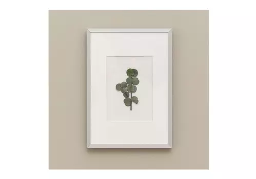 Панно с эвкалиптом (wowbotanica) зеленый 22x31 см.