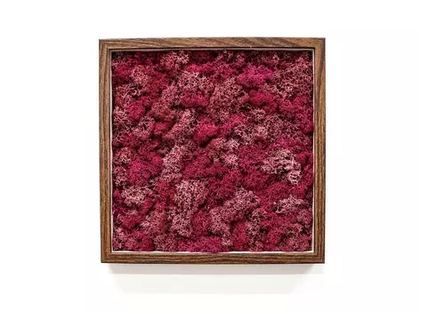Панно с бордовым мхом (wowbotanica) красный 25x25 см.