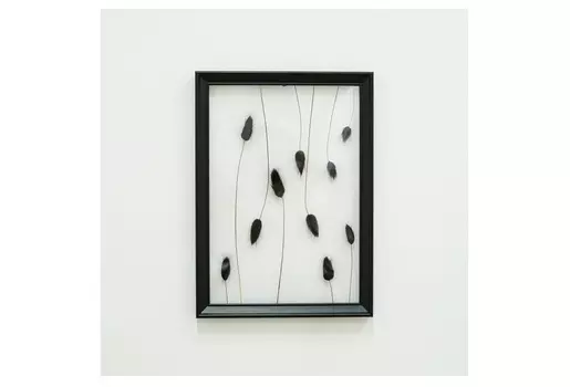 Панно с чёрным лагурусом (wowbotanica) черный 23x32 см.