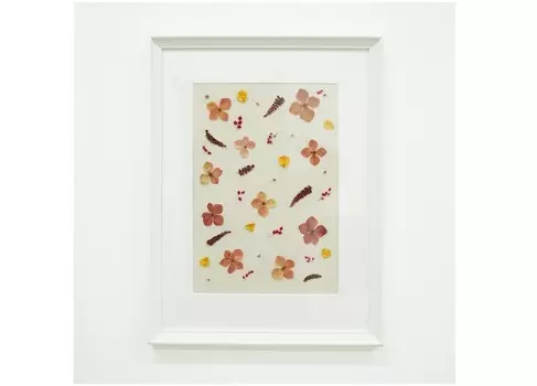 Панно с гортензией и папоротником в белой раме (wowbotanica) красный 32x42 см.