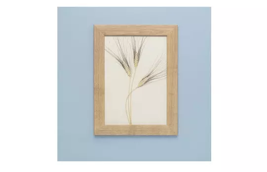 Панно с колосьями пшеницы (wowbotanica) бежевый 27x36 см.