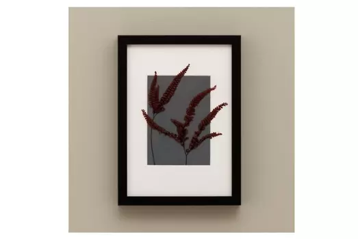 Панно с папоротником фелси (wowbotanica) серый 23x32 см.